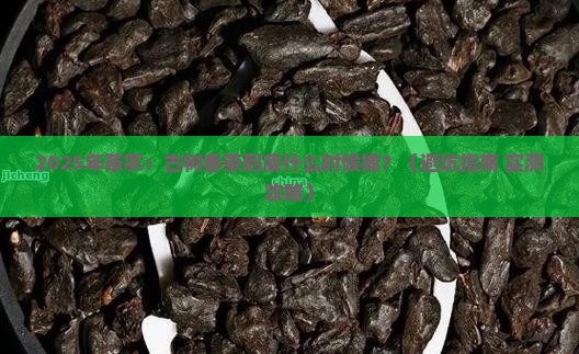 普洱茶古树春茶什么时候摘