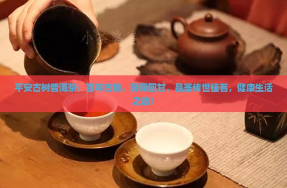 平安古树普洱茶