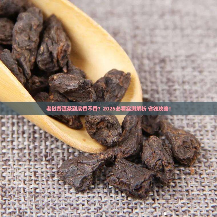 老挝普洱茶好吗