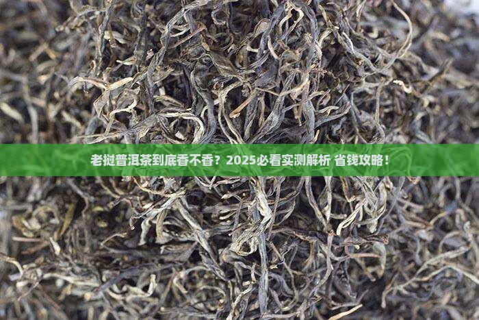 老挝普洱茶好吗