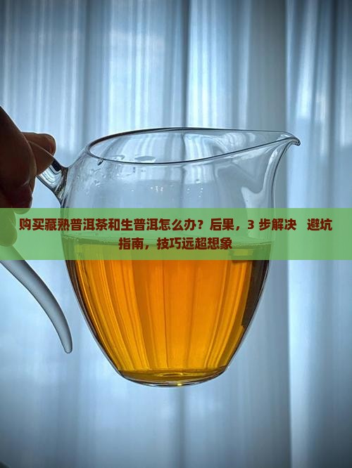 购买藏熟普洱茶和生普洱