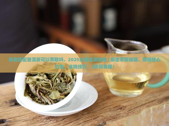 陈皮搭配普洱茶可以萃取吗