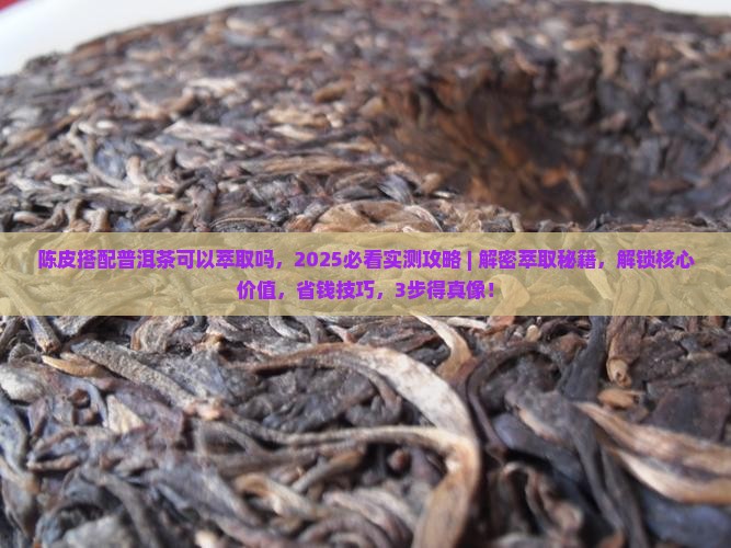 陈皮搭配普洱茶可以萃取吗