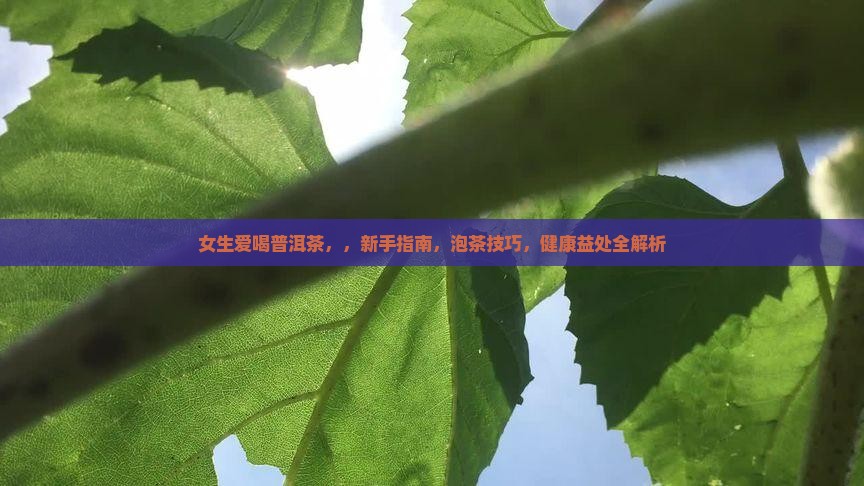 女生爱喝普洱茶