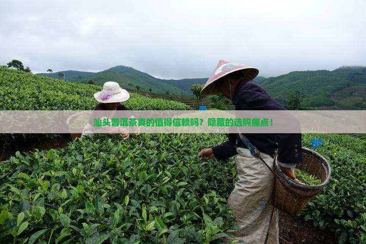 汕头普洱茶工厂