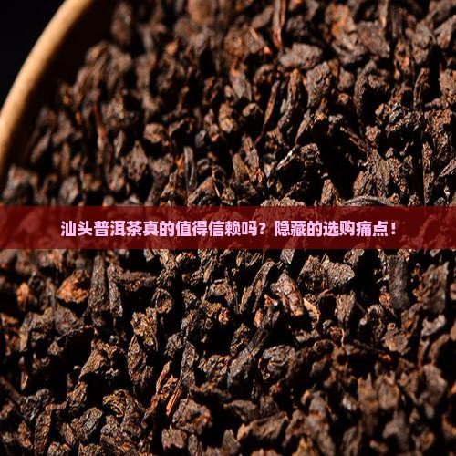汕头普洱茶工厂