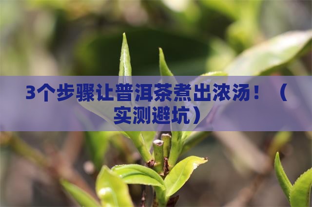 普洱茶煮出来颜色很淡