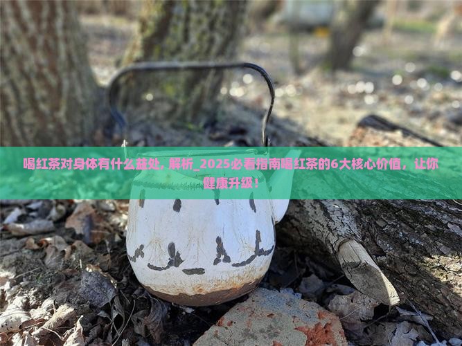 喝红茶对身体有什么益处