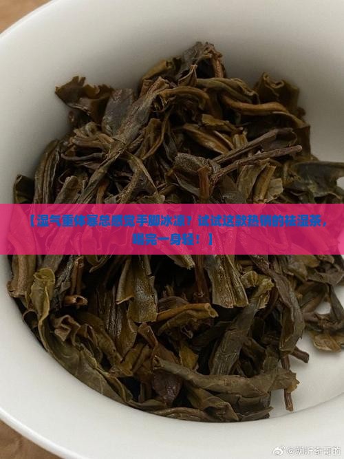 湿气重体寒喝什么茶好