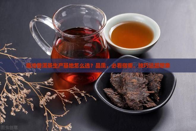 临沧普洱茶生产基地