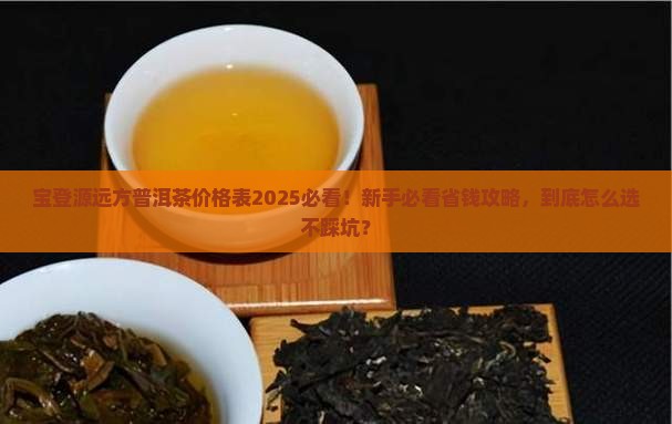宝登源远方普洱茶价格表