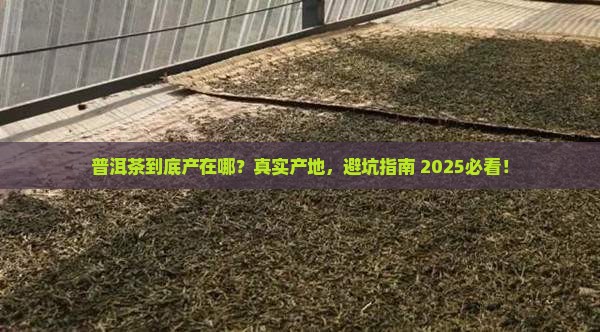 普洱茶现有产地是哪里