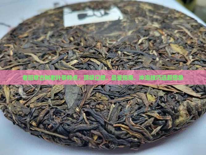 老班章古树老叶茶特点
