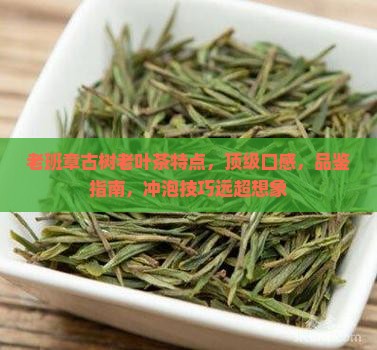 老班章古树老叶茶特点