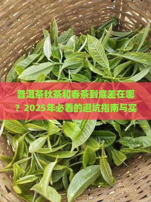 普洱茶秋茶和春茶有什么不同