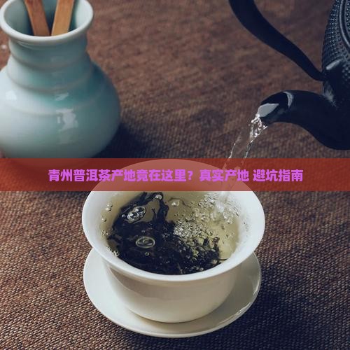 青州普洱茶产地是哪里