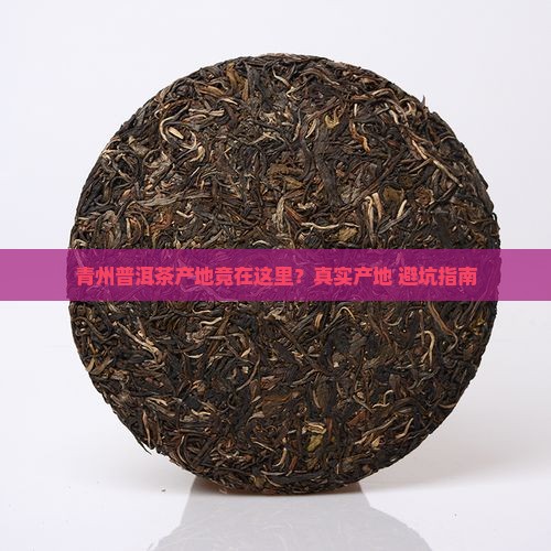 青州普洱茶产地是哪里
