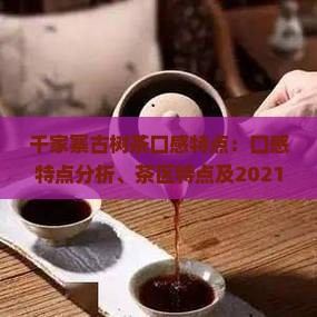 千家寨古树茶口感特点