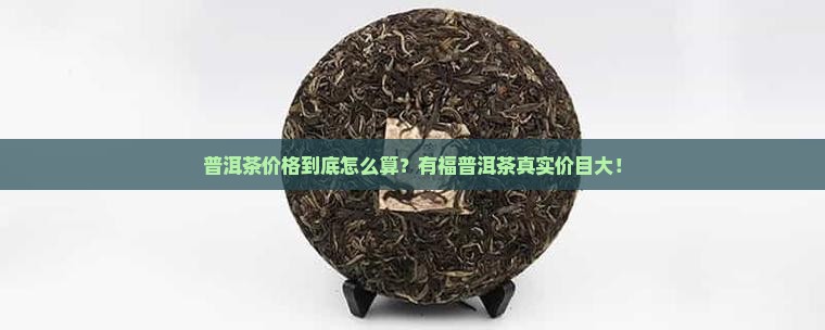 有福普洱茶交易网价格