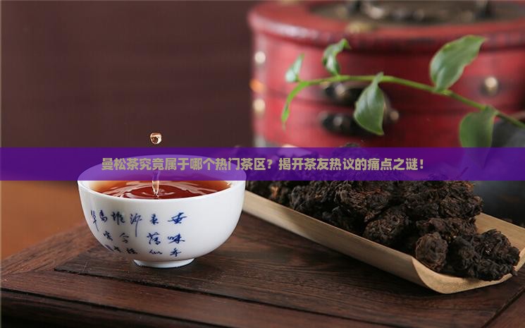 曼松是易哪个茶区的茶