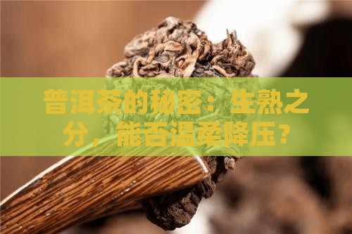 生熟普洱茶对高血压