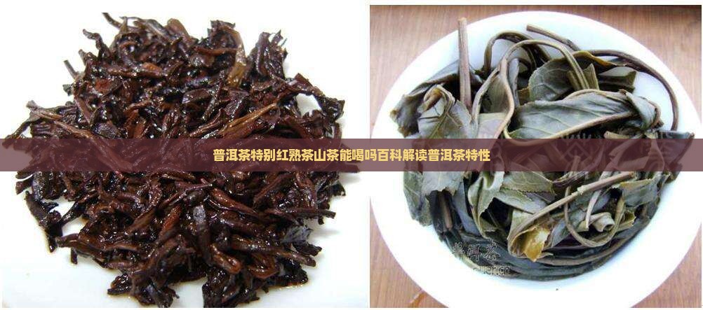 普洱茶特别红能喝吗百度百科