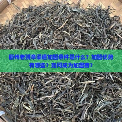 衢州老班章渠道加盟条件