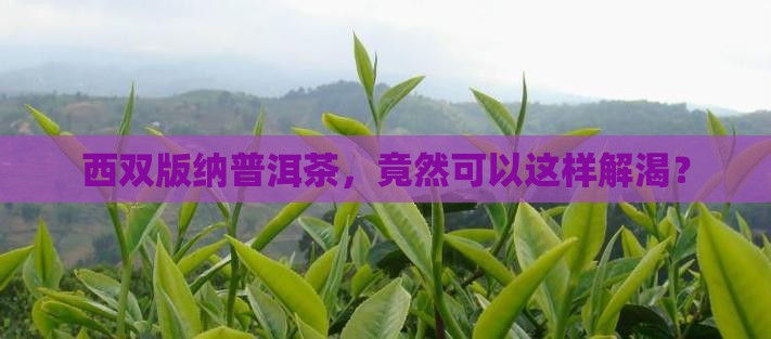 西双版纳普洱茶降冰