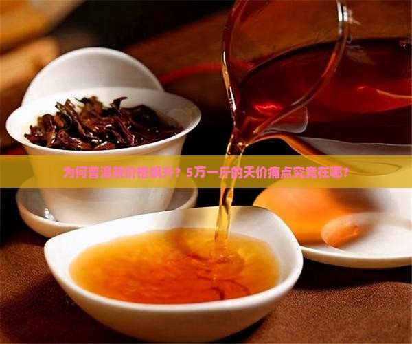 普洱茶5万元一斤价格