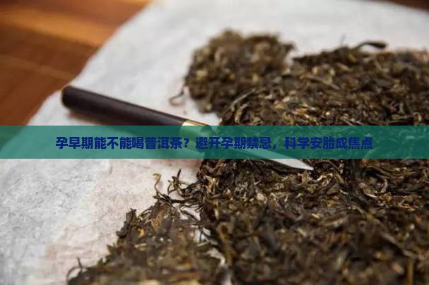 孕早期能不能喝普洱茶