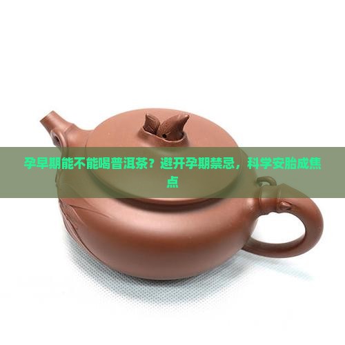 孕早期能不能喝普洱茶