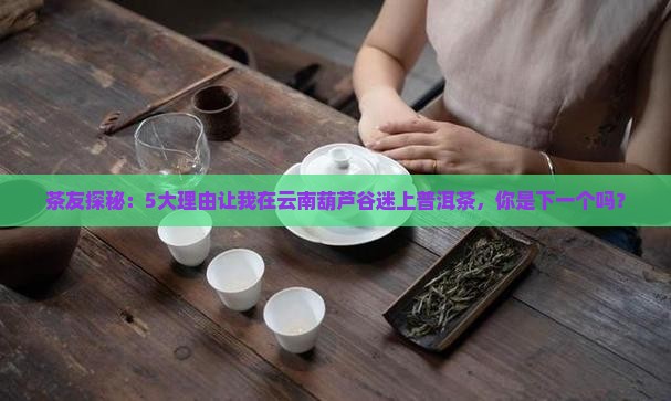 云南葫芦谷普洱茶