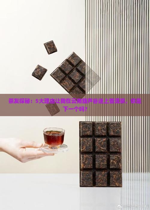 云南葫芦谷普洱茶