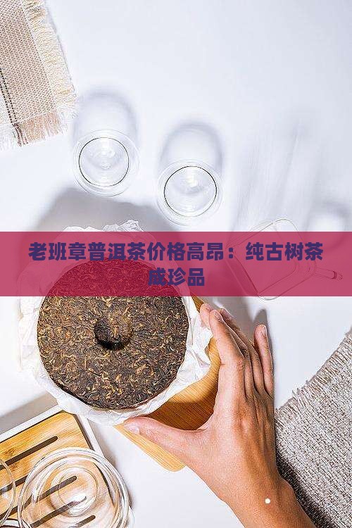 老班章纯古树茶很贵