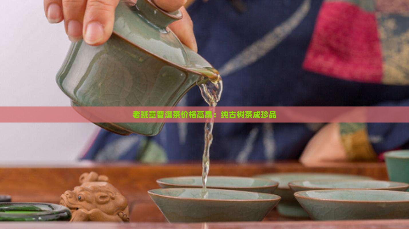 老班章纯古树茶很贵