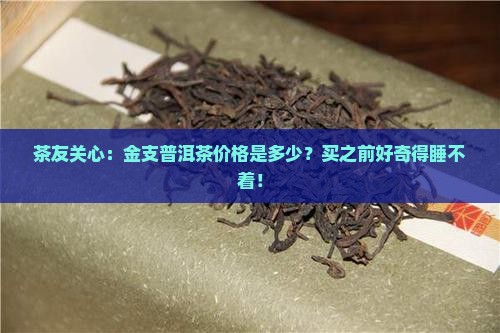 金支普洱茶价格