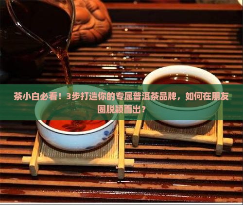 普洱茶品牌策划