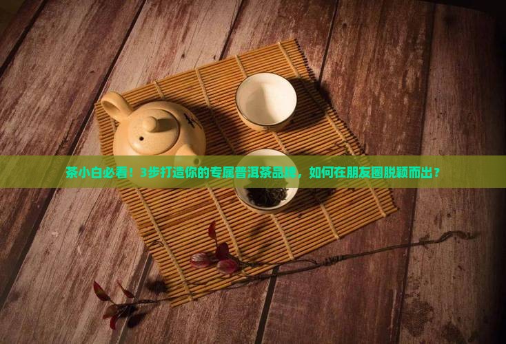 普洱茶品牌策划