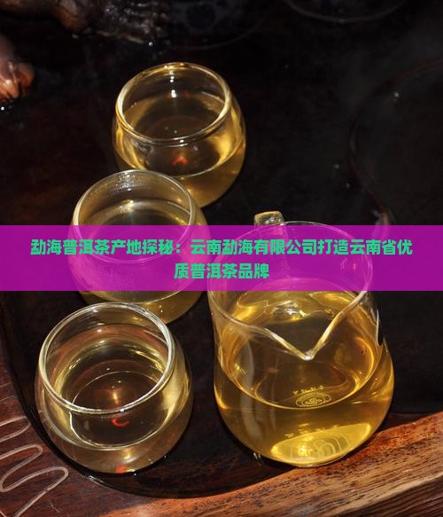 昌乐普洱茶饼产地