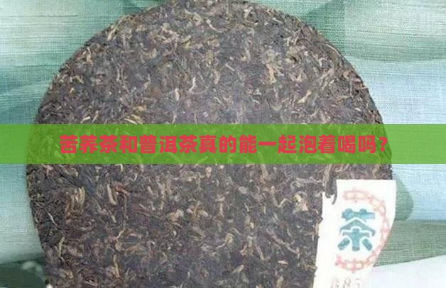 苦荞茶和普洱茶一起泡吗