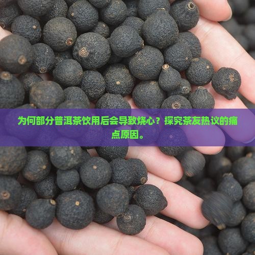 有些普洱茶喝了烧心