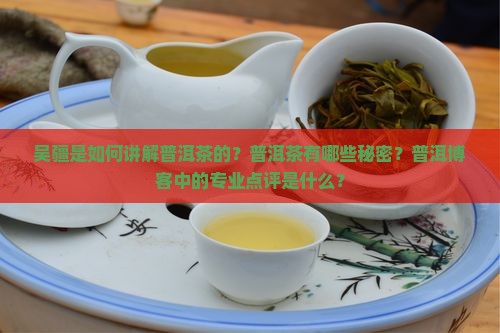 吴疆说普洱博客