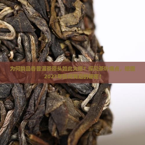 韵品香普洱茶原头