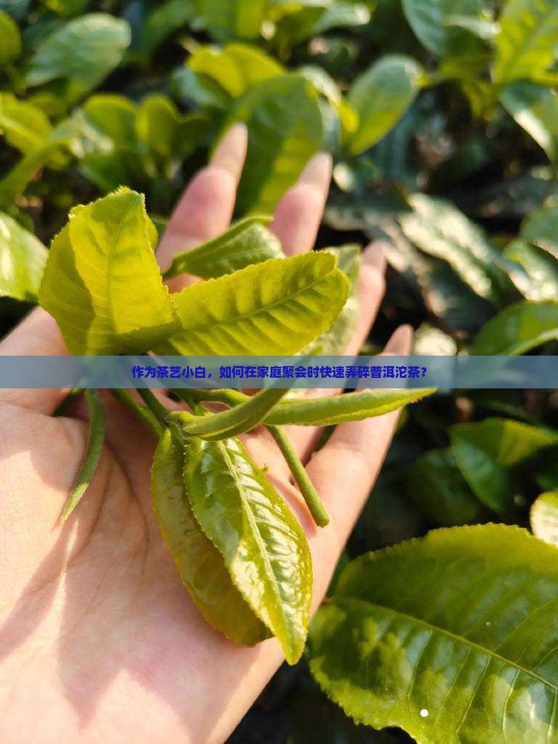 普洱沱茶怎么弄碎