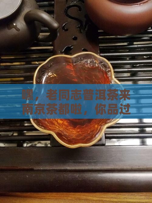 老同志普洱茶南京茶都