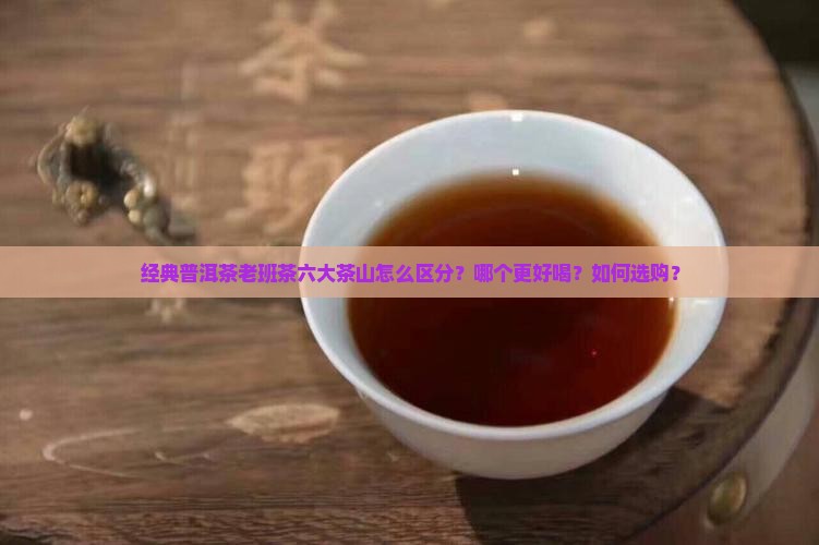 经典普洱茶老班茶六大茶山