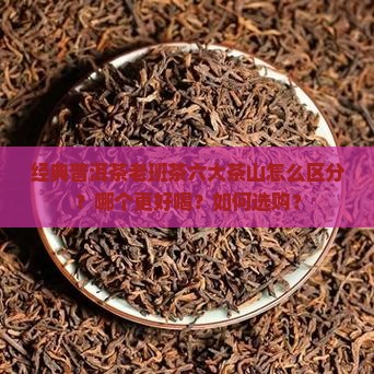 经典普洱茶老班茶六大茶山