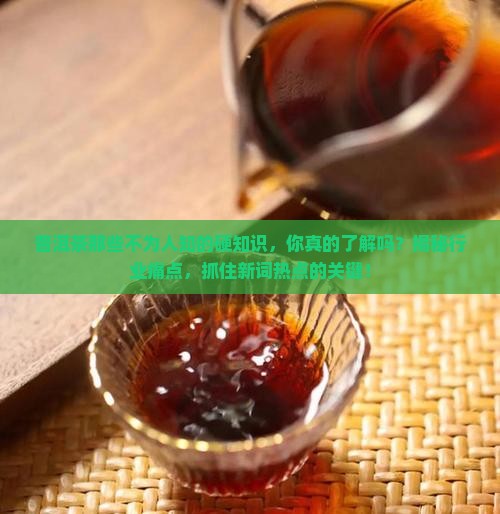 普洱茶的硬知识