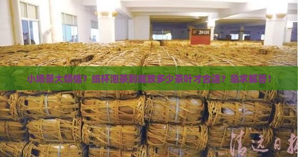 用纸杯泡茶放多少茶叶