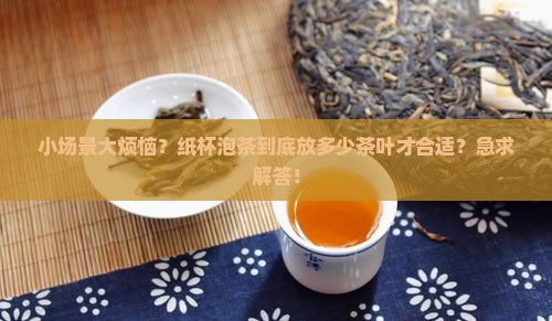 用纸杯泡茶放多少茶叶